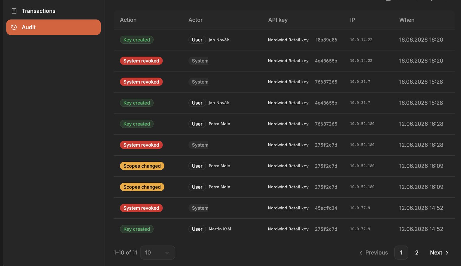 API audit logs
